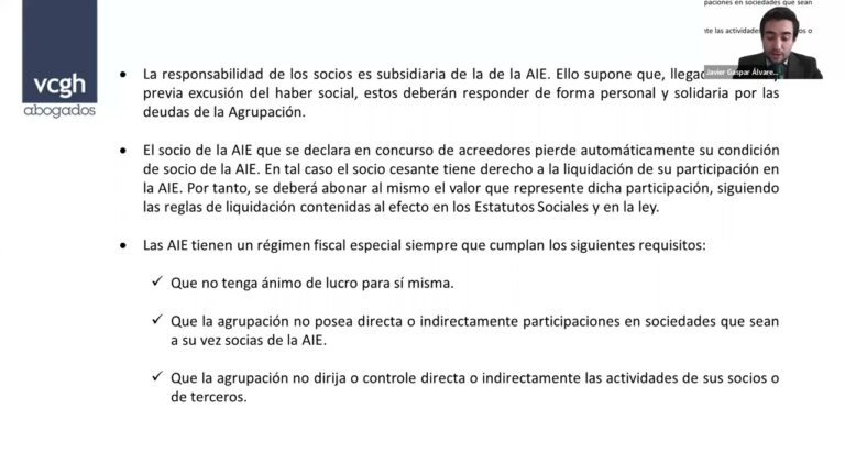 agrupación de interés económico ventajas y desventajas