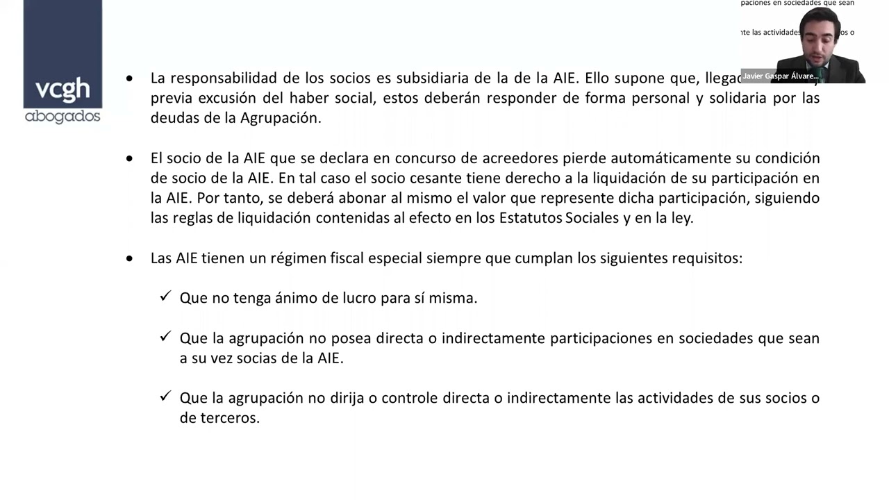 agrupación de interés económico ventajas y desventajas