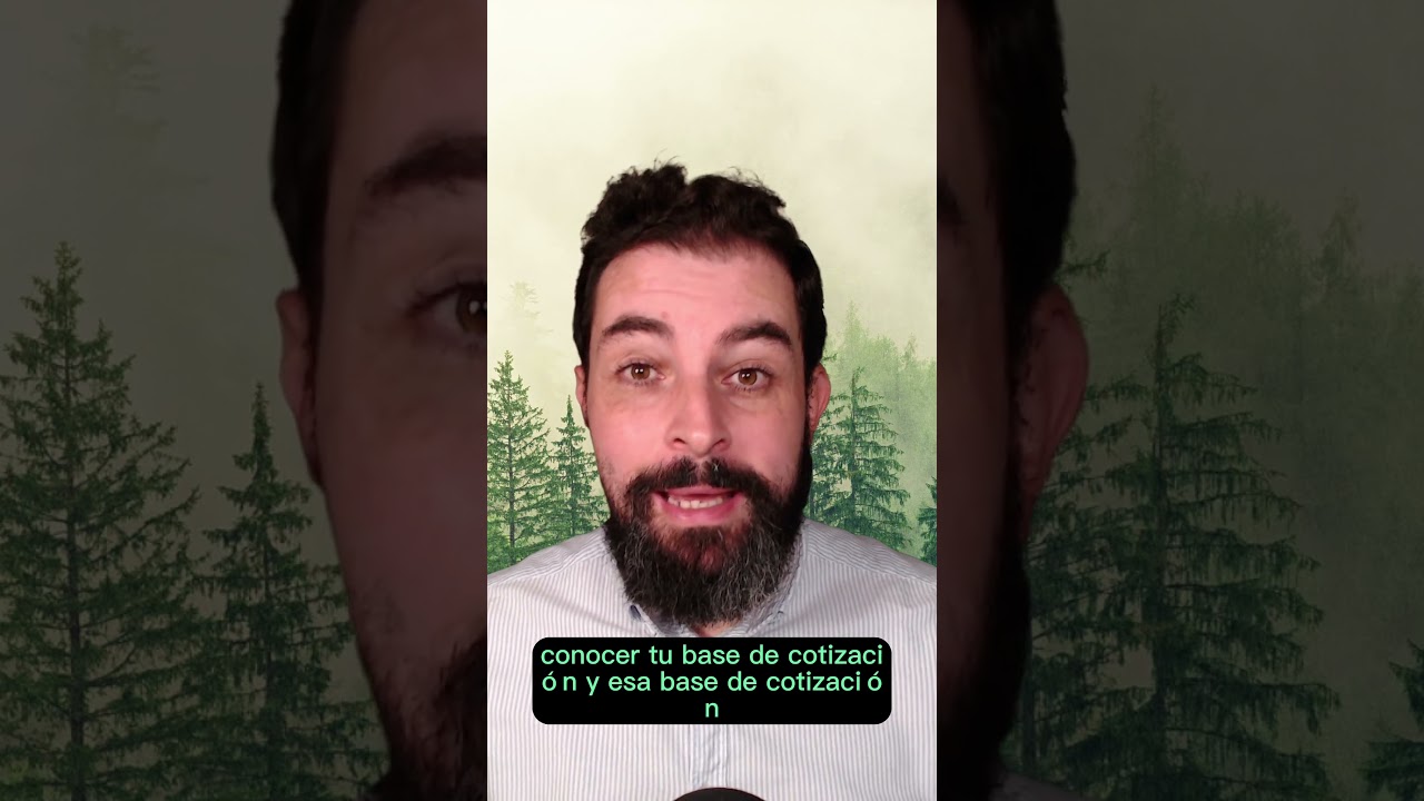 bases y cuotas ingresadas seguridad social