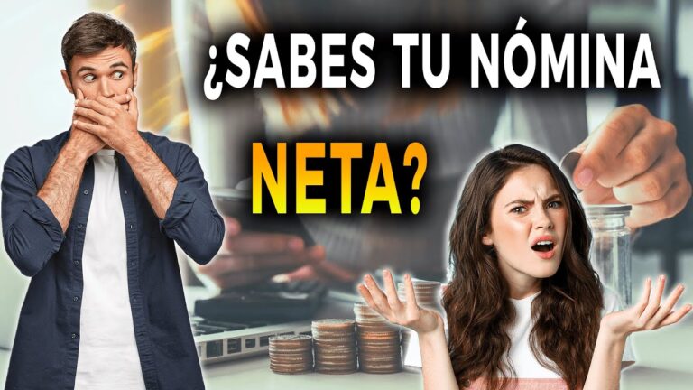 casilla renta ingresos netos anuales