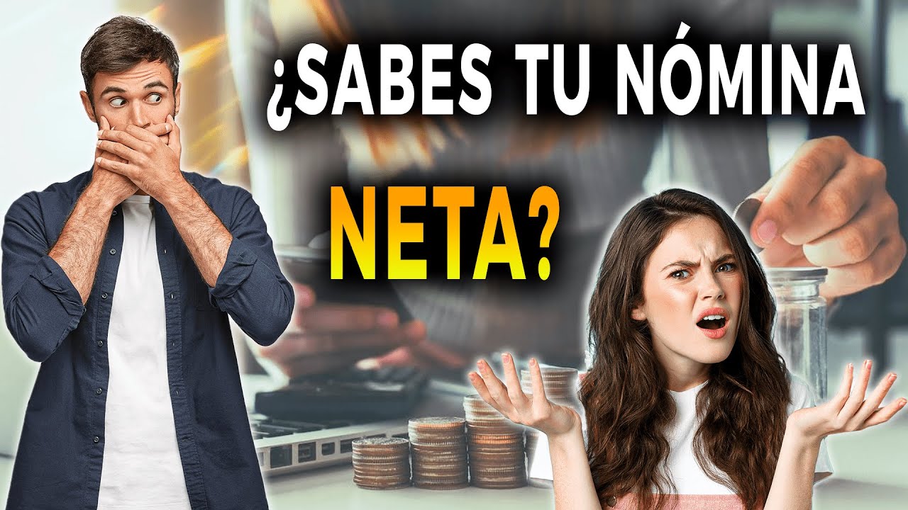 casilla renta ingresos netos anuales