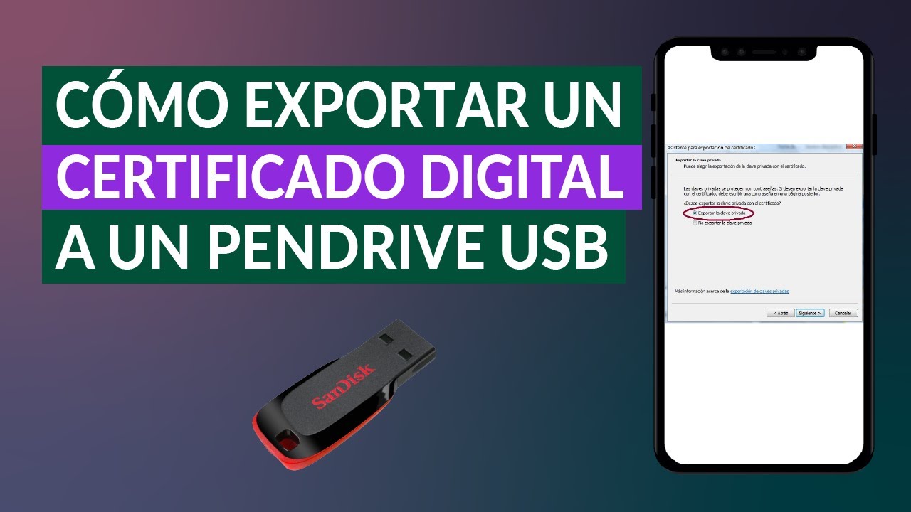 como copiar certificado digital a usb