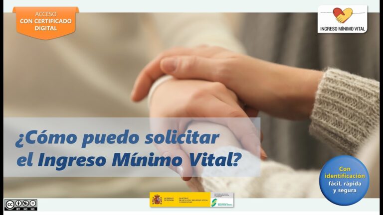 como pedir el ingreso minimo vital por internet