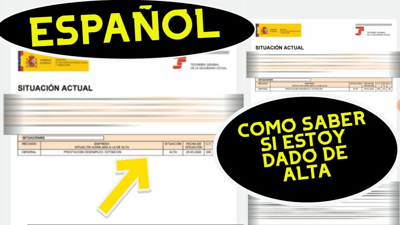 como saber si estoy dada de alta en una empresa