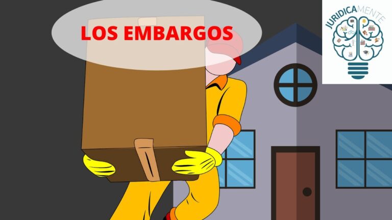 consulta y tramitación de diligencias de embargo