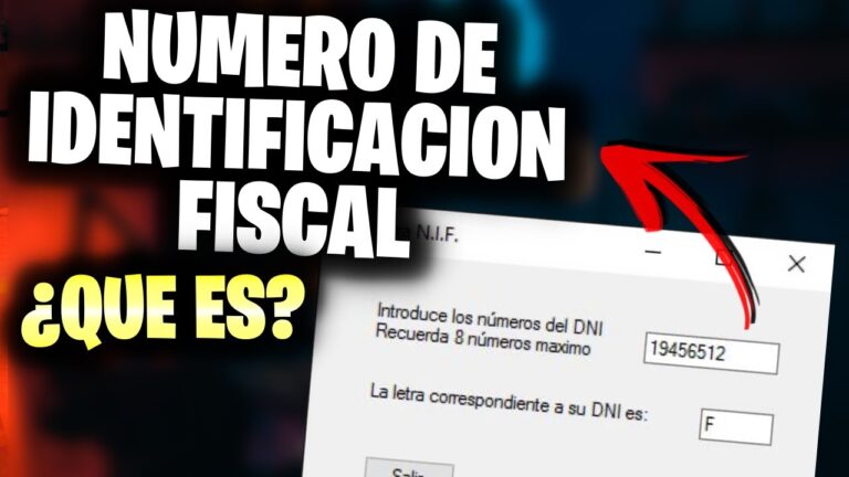 cual es el numero fiscal de una persona