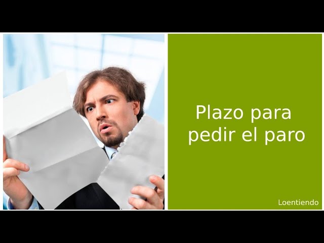 cual es el plazo para solicitar el paro