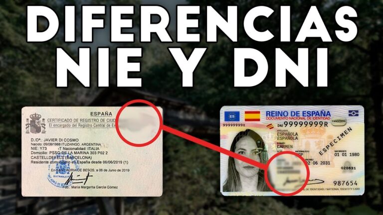 cual es la diferencia entre nie y dni
