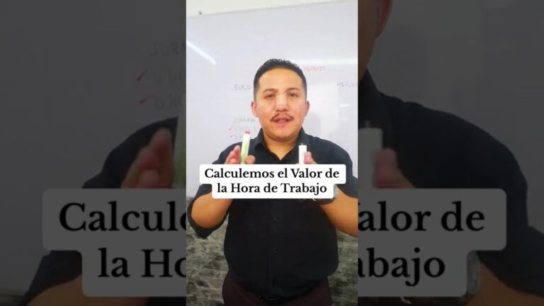 cuanto se cobra por 28 horas semanales