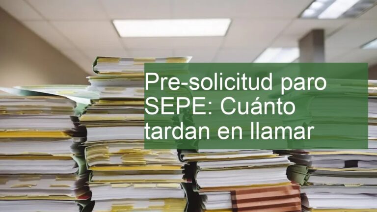 cuanto tarda el sepe en aprobar el paro