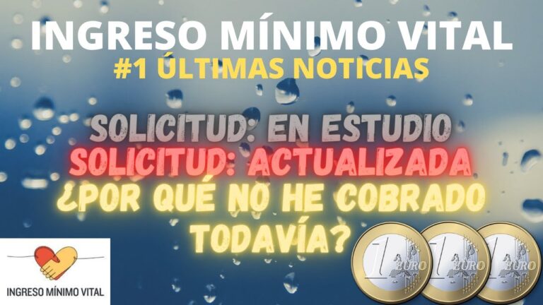 cuánto tiempo puede estar en estudio el ingreso mínimo vital