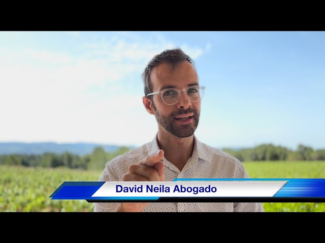 cuanto tiempo tarda un recurso contencioso administrativo