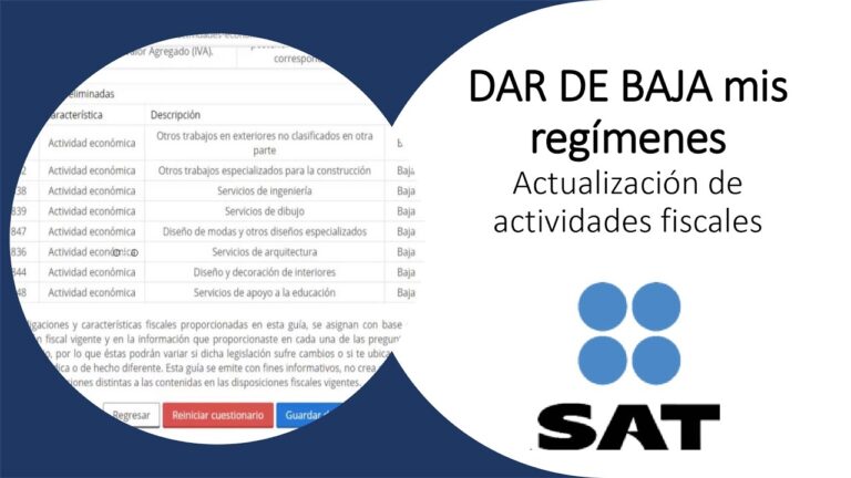 darse de baja en actividades economicas