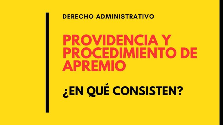 documento de pago de providencia de apremio seguridad social