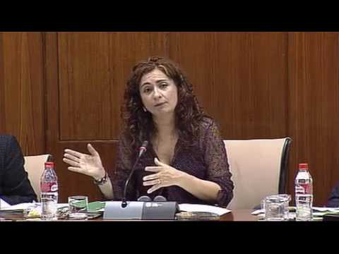 ejemplos de fondos carentes de personalidad juridica