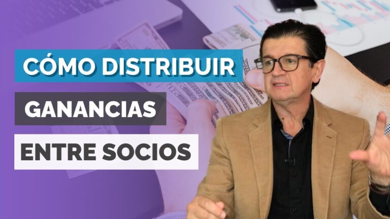 empresa constituída por una sociedad de personas o capitales