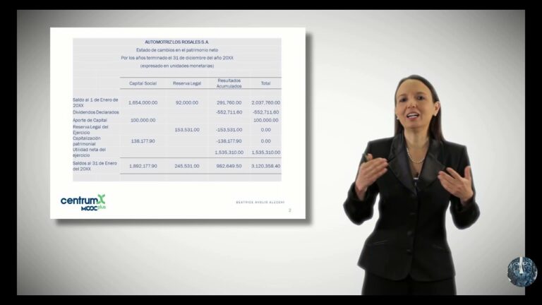 estado de cambios en el patrimonio neto de pymes