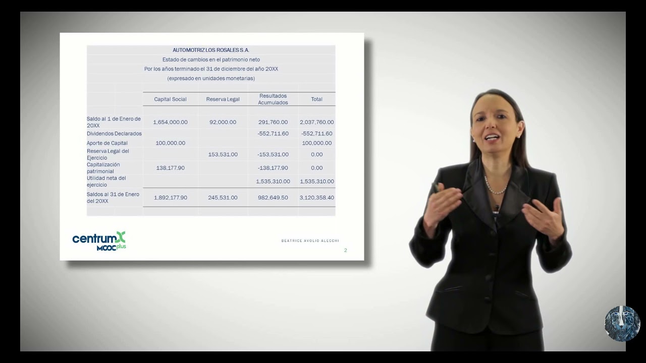 estado de cambios en el patrimonio neto de pymes