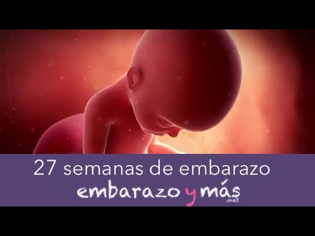 estoy de 27 semanas cuantos meses son
