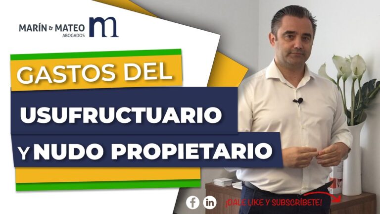 ibi quien lo paga usufructuario o nudo propietario