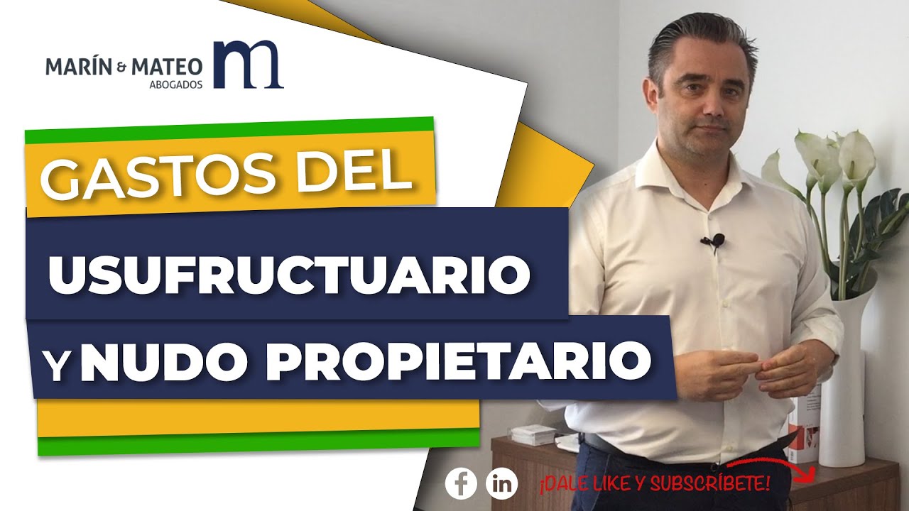 ibi quien lo paga usufructuario o nudo propietario