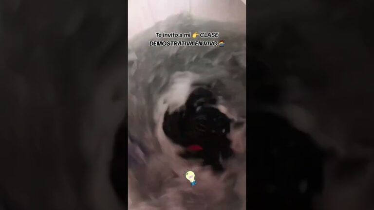 instalacion de placas solares en fincas rusticas