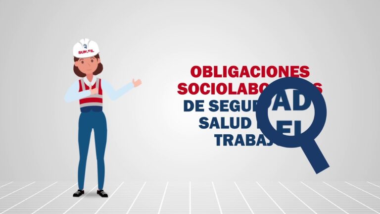 ley de inspección de trabajo y seguridad social