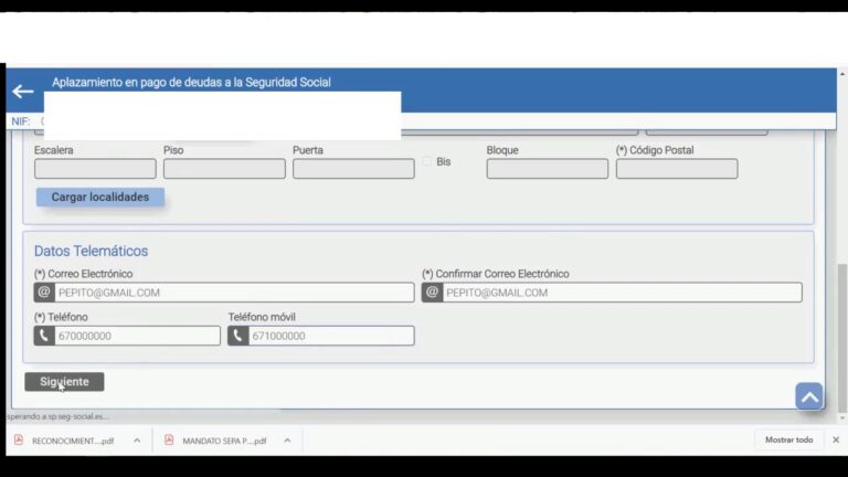 modelo solicitud aplazamiento seguridad social