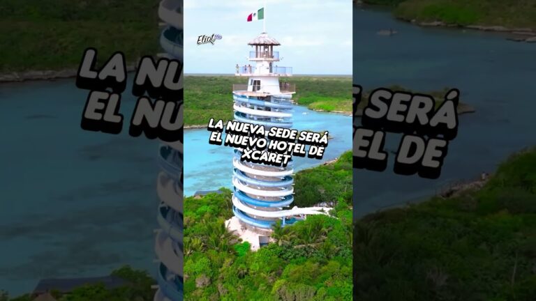 oficiales de primera y segunda quienes son