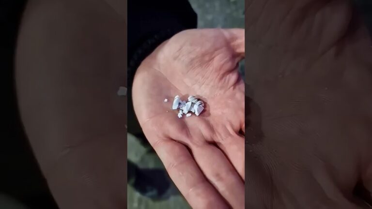 que hacer si te rompen la luna del coche