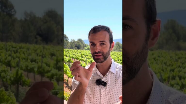 quiero que me despidan y cobrar el paro