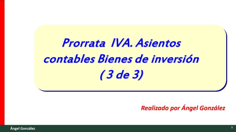 regularizacion bienes inversion iva baja actividad
