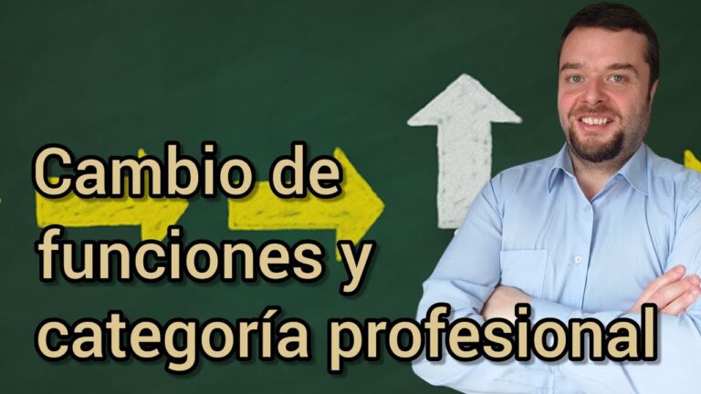 se puede cambiar la categoria profesional de un trabajador