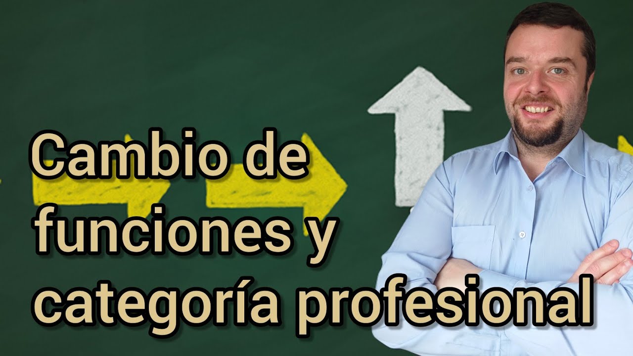 se puede cambiar la categoria profesional de un trabajador
