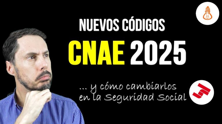 ¿cómo saber qué cnae tengo en la seguridad social?